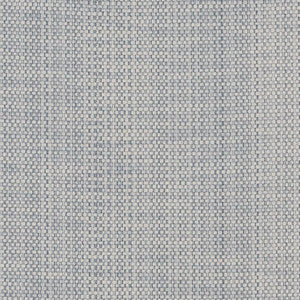 CB700-361 by Charlotte Designer Fabric