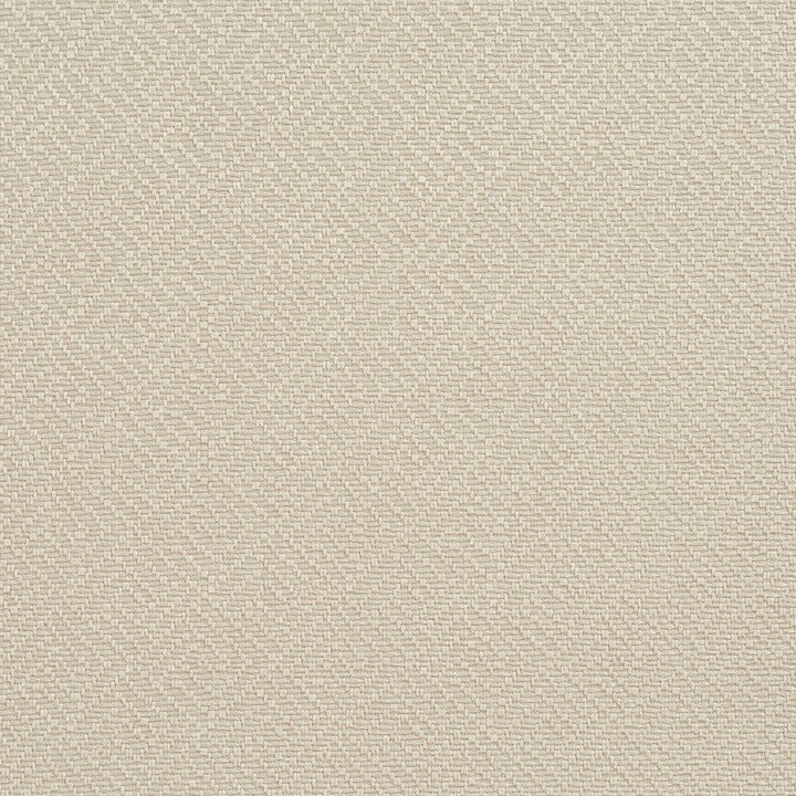 CB700-36 by Charlotte Designer Fabric Ecru 100% Woven Polyester Asia Exceeds 120,000 Wyzenbeek Rubs (Heavy Duty) Horizontal: 1.5" x Vertical: 1.5" 54 Inches - Swanky Fabrics -