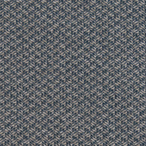 CB700-372 by Charlotte Designer Fabric