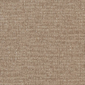 CB700-373 by Charlotte Designer Fabric