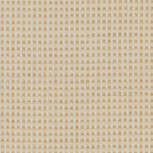 CB700-374 by Charlotte Designer Fabric