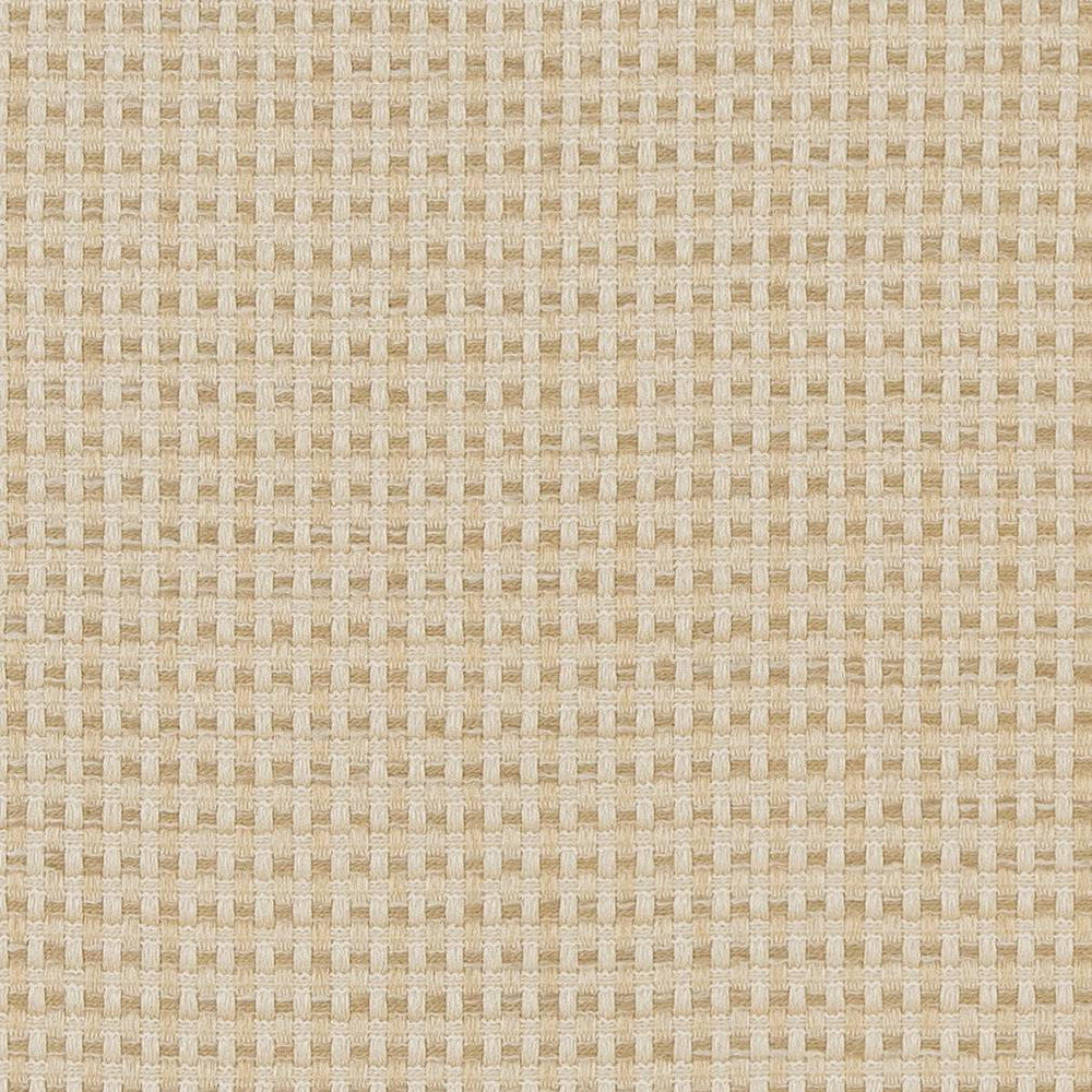 CB700-374 by Charlotte Designer Fabric Shades of Neutral 100% Woven Polyester China Exceeds 60,000 Wyzenbeek Rubs (Heavy Duty) No Repeat 54 Inches - Swanky Fabrics -