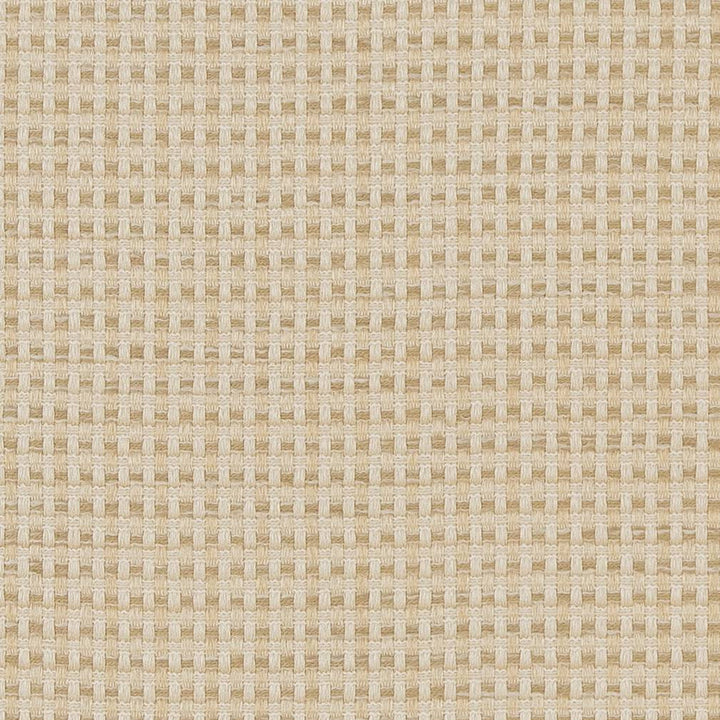 CB700-374 by Charlotte Designer Fabric Shades of Neutral 100% Woven Polyester Asia Exceeds 60,000 Wyzenbeek Rubs (Heavy Duty) </p><p>Repeat: No Repeat 54 Inches - Swanky Fabrics -
