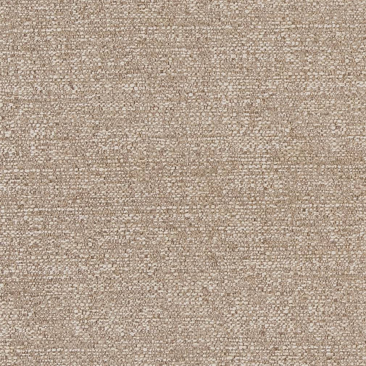 CB700-379 by Charlotte Designer Fabric Shades of Neutral 100% Woven Polyester Asia Exceeds 100,000 Wyzenbeek Rubs (Heavy Duty) </p><p>Repeat: No Repeat 54 Inches - Swanky Fabrics -