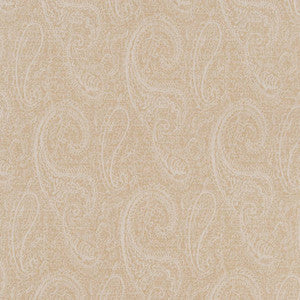 CB700-388 by Charlotte Designer Fabric