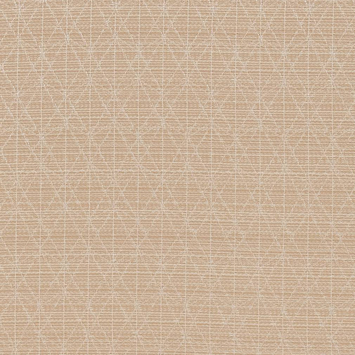 CB700-389 by Charlotte Designer Fabric Shades of Neutral 100% Woven Polyester China Exceeds 120,000 Wyzenbeek Rubs (Heavy Duty) Horizontal 2.5" x Vertical 1.25" 54 Inches - Swanky Fabrics -