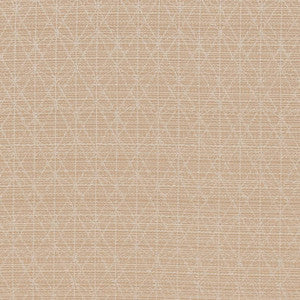 CB700-389 by Charlotte Designer Fabric