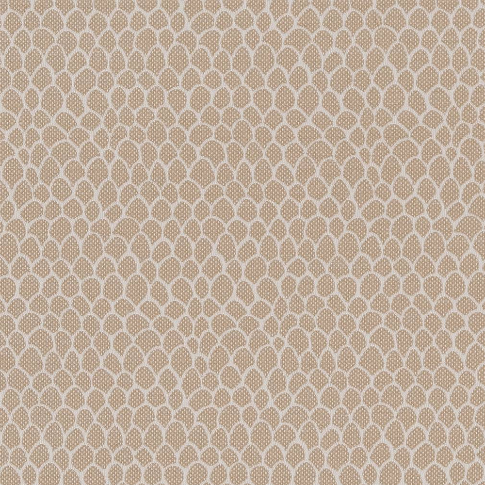 CB700-400 by Charlotte Designer Fabric Shades of Neutral 50% Polyester, 25% Cotton, 25% Acrylic Spain Exceeds 60,000 Wyzenbeek Rubs (Heavy Duty) No Repeat 54 Inches - Swanky Fabrics -