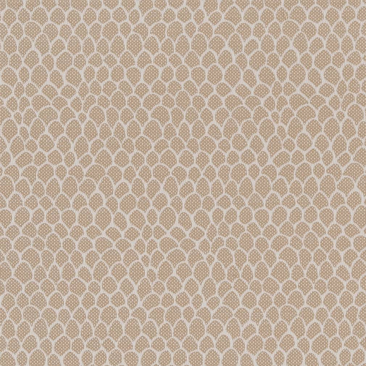 CB700-400 by Charlotte Designer Fabric Shades of Neutral 50% Polyester, 25% Cotton, 25% Acrylic Spain Exceeds 60,000 Wyzenbeek Rubs (Heavy Duty) No Repeat 54 Inches - Swanky Fabrics -
