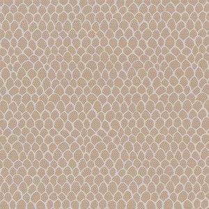 CB700-400 by Charlotte Designer Fabric