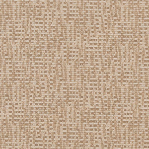 CB700-404 by Charlotte Designer Fabric