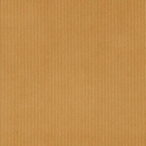 CB700-436 by Charlotte Designer Fabric