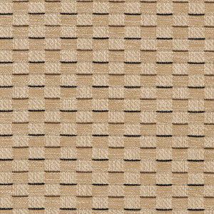 CB700-455 by Charlotte Designer Fabric