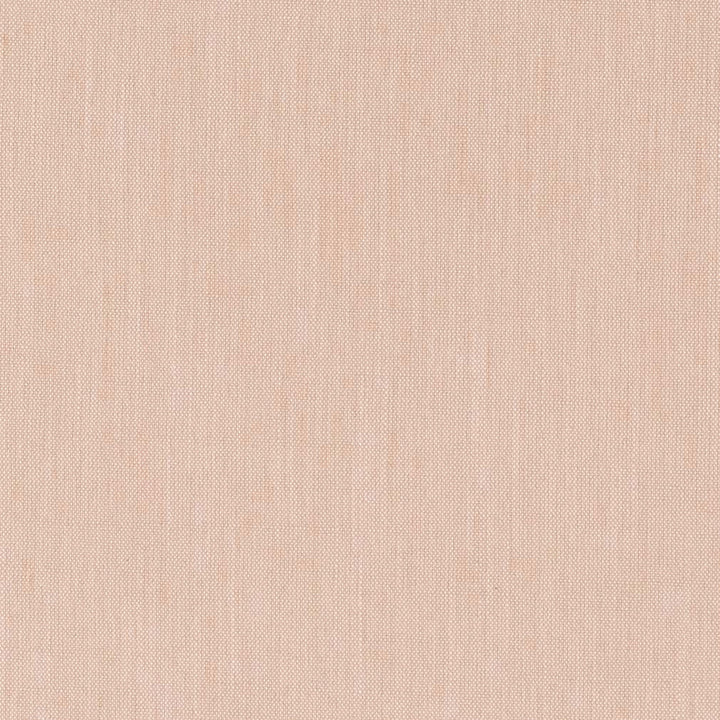 CB700-459 by Charlotte Designer Fabric Shades of Adobe 100% Polyester India Exceeds 100,000 Wyzenbeek Rubs </p><p>Repeat: No Repeat 54 Inches - Swanky Fabrics -