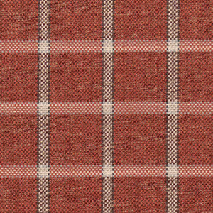 CB700-466 by Charlotte Designer Fabric