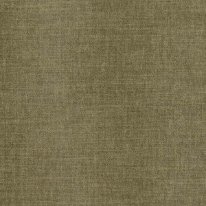 CB700-496 by Charlotte Designer Fabric