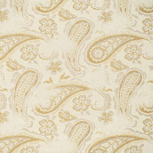CB700-572 by Charlotte Designer Fabric