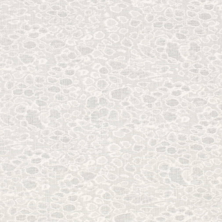 CB700-586  by Charlotte Designer Fabric