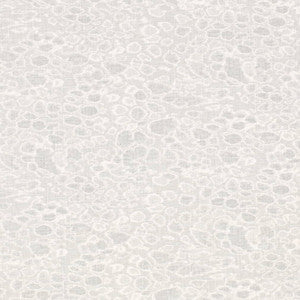 CB700-586  by Charlotte Designer Fabric