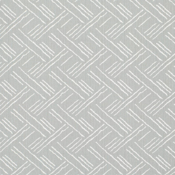 CB700-591  by Charlotte Designer Fabric