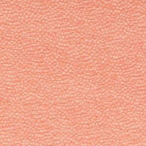 CB700-611 by Charlotte Designer Fabric