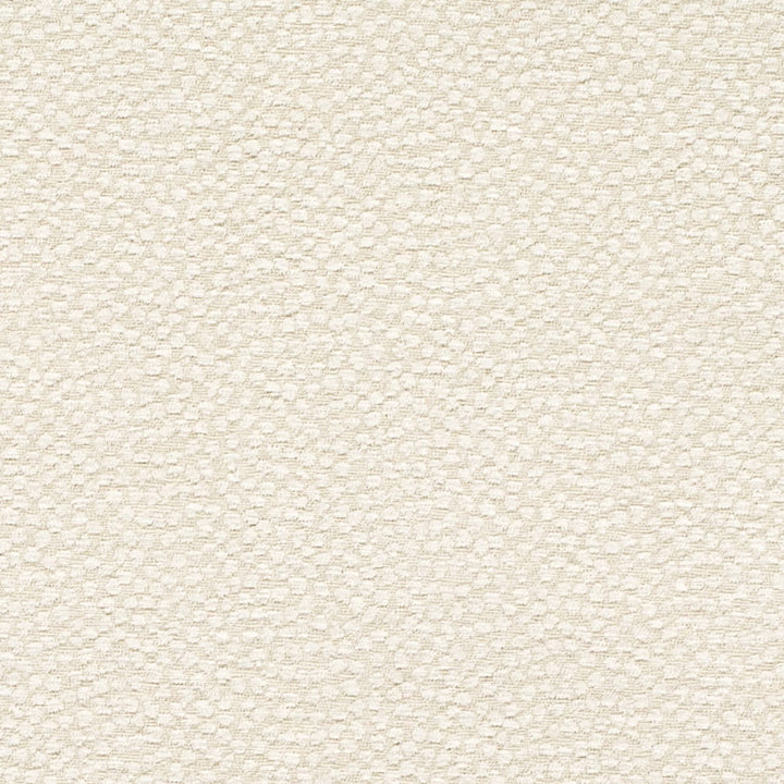 CB700-612 by Charlotte Designer Fabric Shades of Pearl 100% Polyester Asia Exceeds 120,000 Wyzenbeek Rubs (Heavy Duty) No Repeat 54 Inches - Swanky Fabrics -