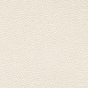 CB700-612 by Charlotte Designer Fabric