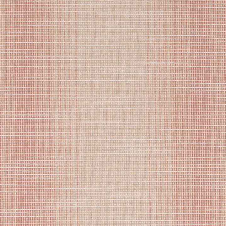 CB700-619 by Charlotte Designer Fabric Shades of Wild Rose 42% Rayon, 20% Recycled Polyester, 19% Polypropylene, 19% Polyester USA Exceeds 40,000 Wyzenbeek Rubs (Heavy Duty) Horizontal 7.5" 54 Inches - Swanky Fabrics -