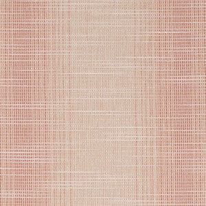 CB700-619 by Charlotte Designer Fabric
