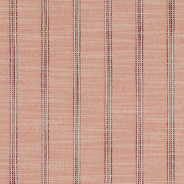 CB700-627 by Charlotte Designer Fabric Shades of Wild Rose 40% Recycled Polyester, 44% Rayon, 16% Polyester USA Exceeds 100,000 Wyzenbeek Rubs (Heavy Duty) Horizontal 2" 54 Inches - Swanky Fabrics -