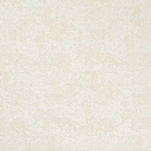 CB700-636 by Charlotte Designer Fabric