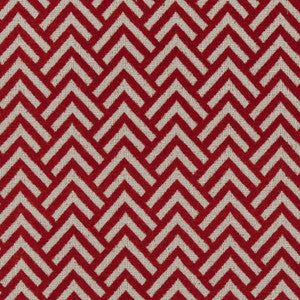 CB800-105 by Charlotte Designer Fabric