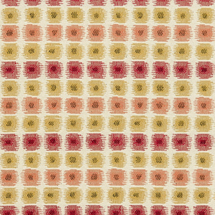 CB800-109 by Charlotte Designer Fabric Shades of Coral 41% Cotton, 34% Polyester, 25% Olefin Made In USA Exceeds 66,000 Wyzenbeek Rubs (Heavy Duty) Horizontal: 2" x Vertical: 1" 54 Inches - Swanky Fabrics -