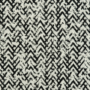 CB800-116 by Charlotte Designer Fabric