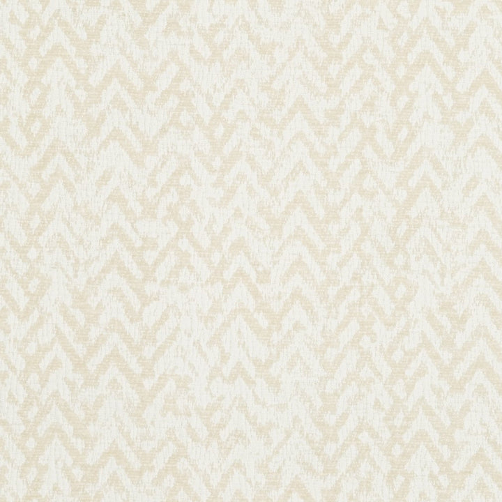 CB800-117 by Charlotte Designer Fabric Black & White 100% Woven Polyester Asia Exceeds 30,000 Wyzenbeek Rubs (Heavy Duty) Horizontal: 7" x Vertical: 7" 54 Inches - Swanky Fabrics -