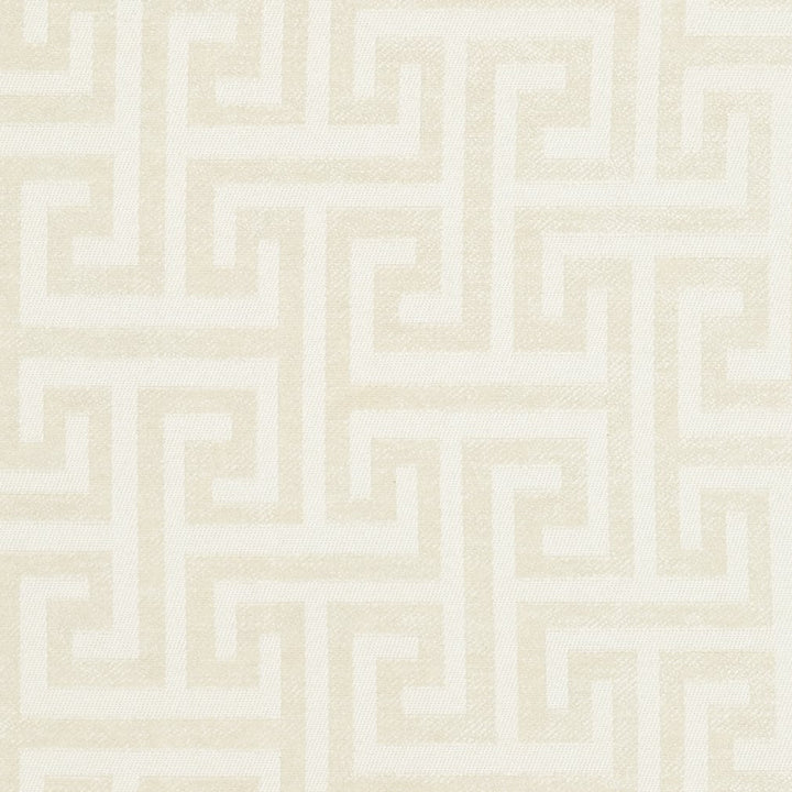 CB800-118 by Charlotte Designer Fabric Black & White 100% Woven Polyester Asia Exceeds 160,000 Wyzenbeek Rubs (Heavy Duty) Horizontal: 4" x Vertical: 4.5" 54 Inches - Swanky Fabrics -