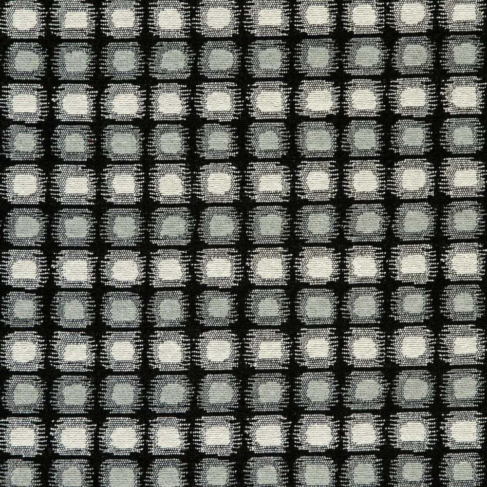CB800-123 by Charlotte Designer Fabric Black & White 41% Cotton, 34% Polyester, 25% Olefin Made In USA Exceeds 66,000 Wyzenbeek Rubs (Heavy Duty) Horizontal: 2" x Vertical: 1" 54 Inches - Swanky Fabrics -