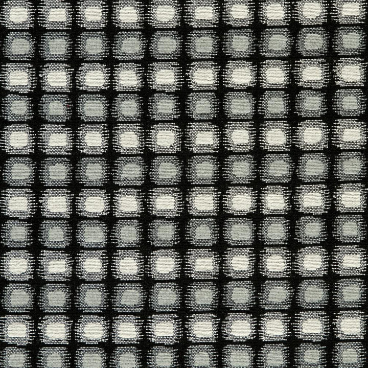 CB800-123 by Charlotte Designer Fabric Black & White 41% Cotton, 34% Polyester, 25% Olefin Made In USA Exceeds 66,000 Wyzenbeek Rubs (Heavy Duty) Horizontal: 2" x Vertical: 1" 54 Inches - Swanky Fabrics -