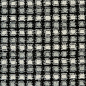 CB800-123 by Charlotte Designer Fabric