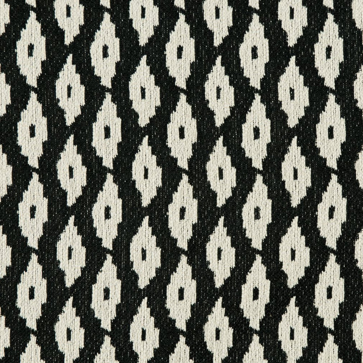 CB800-124 by Charlotte Designer Fabric Black & White 100% Woven Polyester Made In USA Exceeds 66,000 Wyzenbeek Rubs (Heavy Duty) Horizontal: 2" x Vertical: 2" 54 Inches - Swanky Fabrics -