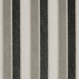 CB800-136 by Charlotte Designer Fabric