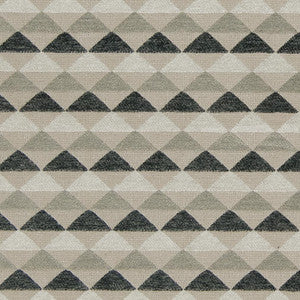 CB800-137 by Charlotte Designer Fabric