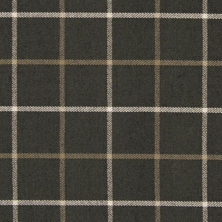 CB800-165 by Charlotte Designer Fabric Shades of Graphite 64% Cotton, 32% Viscose, 4% Polyester Asia Exceeds 60,000 Wyzenbeek Rubs (Heavy Duty) Horizontal 5" x Vertical 5" 54 Inches - Swanky Fabrics -