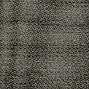 CB800-170 by Charlotte Designer Fabric