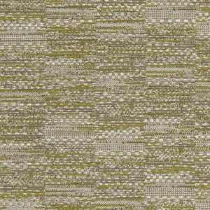 CB800-183 by Charlotte Designer Fabric