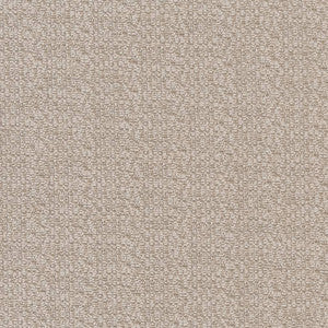 CB800-208 by Charlotte Designer Fabric