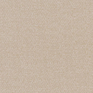 CB800-209 by Charlotte Designer Fabric