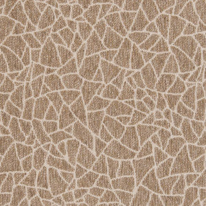 CB800-218 by Charlotte Designer Fabric
