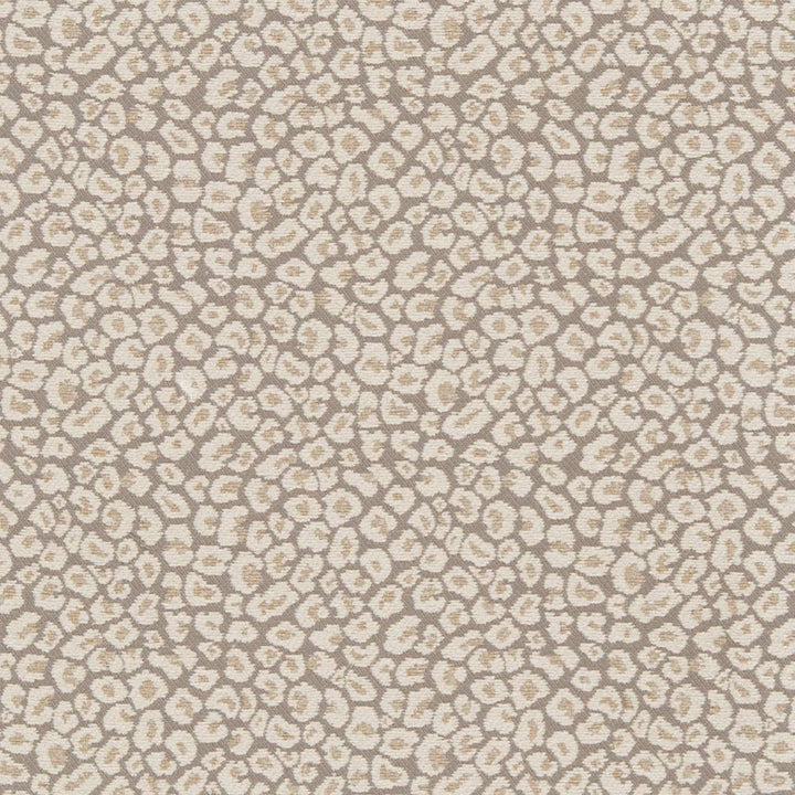 CB800-220 by Charlotte Designer Fabric Shades of Neutral 52% Rayon, 26% Polyester, 22% Cotton Asia Exceeds 30,000 Wyzenbeek Rubs (Heavy Duty) </p><p>Repeat: No Repeat 54 Inches - Swanky Fabrics -