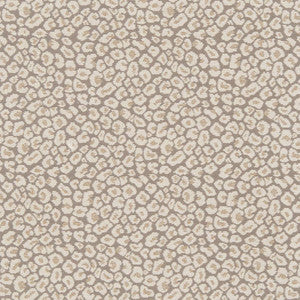 CB800-220 by Charlotte Designer Fabric